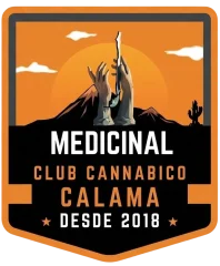 logo nuevo calama